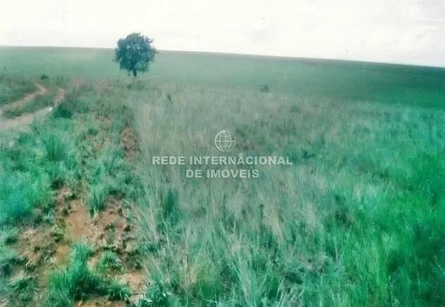 General Maynard, State of Sergipe, Brazil. - Photo 4
