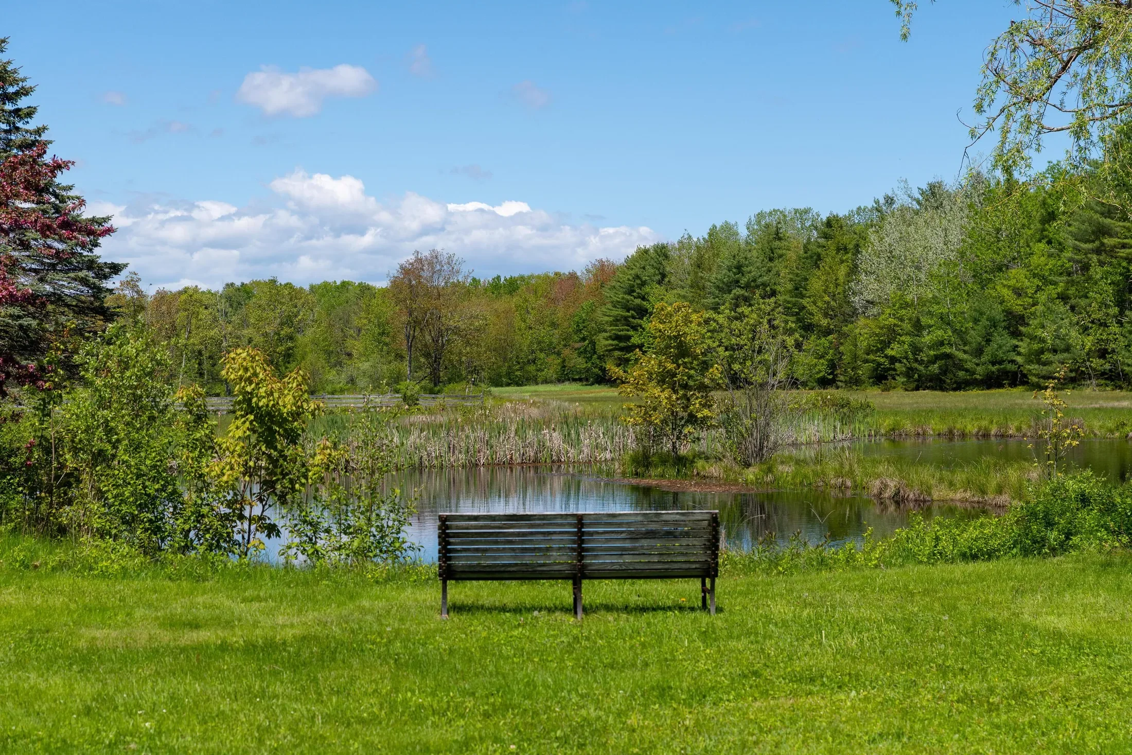286 Goose Rocks Road, Kennebunkport, ME 04046, Kennebunkport, Maine, United States. - Photo 5