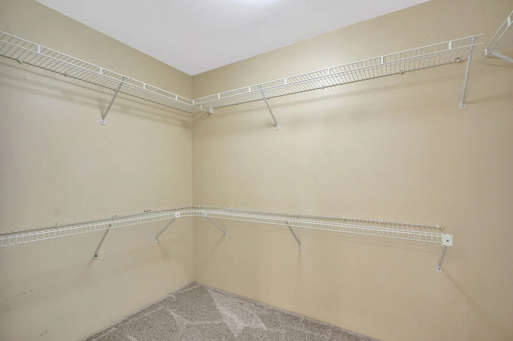 Gallery photo 6