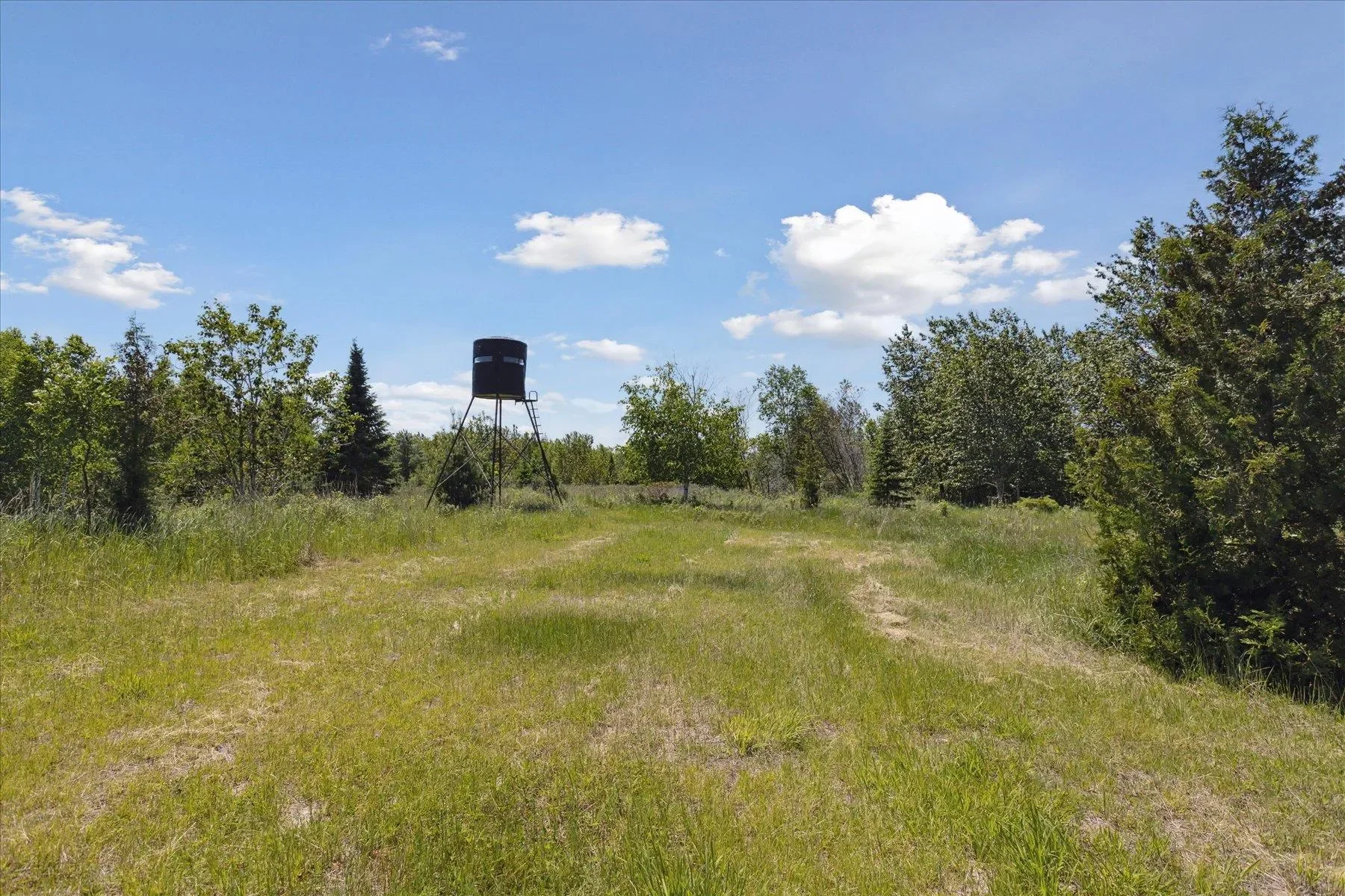 9842 Misery Bay, Alpena, MI 49707, Alpena, Michigan, United States. - Photo 33