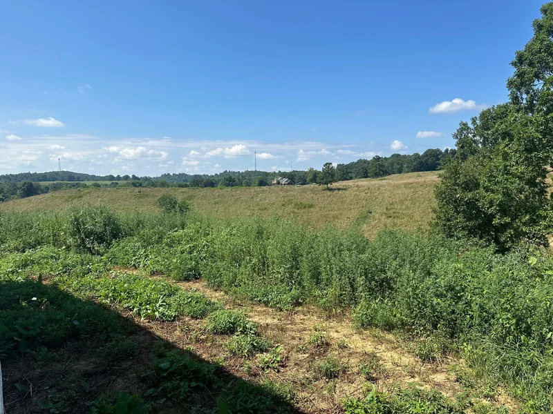 165 Pittsburg Landing Rd, London, KY 40741, London, Kentucky, United States. - Photo 21
