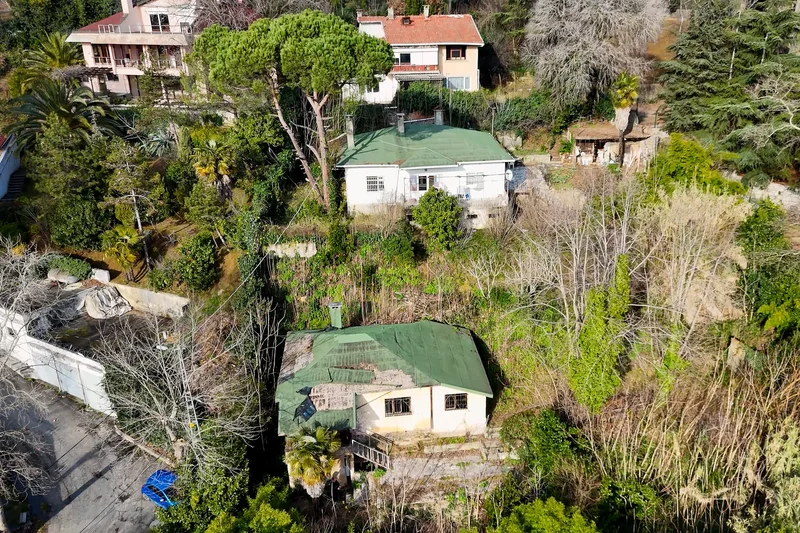Çınarlı Sokak, İstanbul, Beykoz 34410, İstanbul, Turkey. - Photo 3