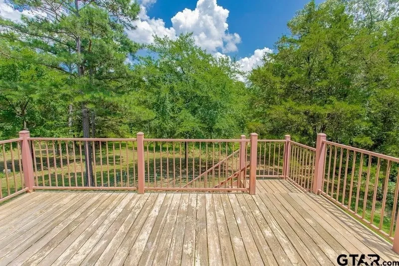 249 PR 6936, Alba, TX 75410, Mineola, Texas, United States. - Photo 21