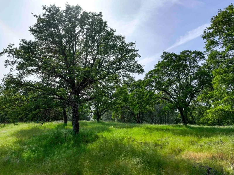 1301 Lomita Court, El Dorado Hills, California, United States. - Photo 12