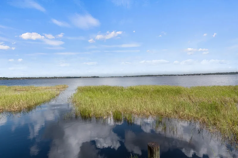 11906 Egret Blf, Clermont, FL 34711, Clermont, Florida, United States. - Photo 44