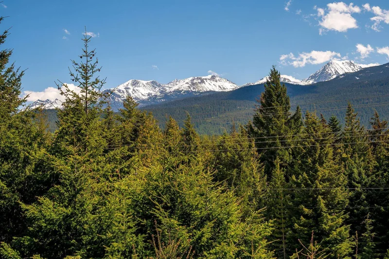 6187 Eagle Drive, Whistler, British Columbia, Canada. - Photo 28