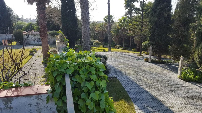Laranjeiro e Feijo, Setubal, Portugal. - Photo 42