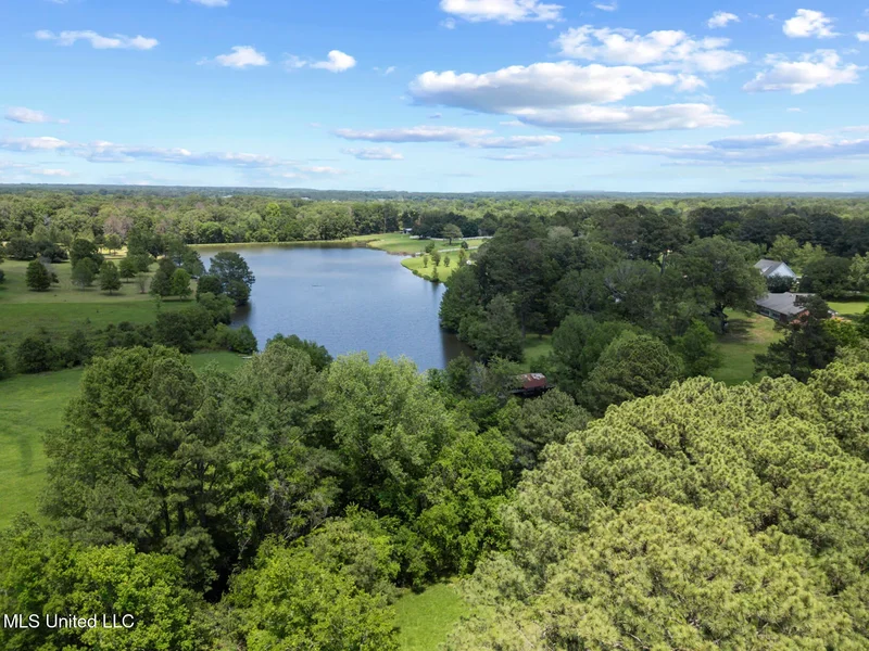 8 Twelve Oaks Place, Madison, MS 39110, Madison, Mississippi, United States. - Photo 58