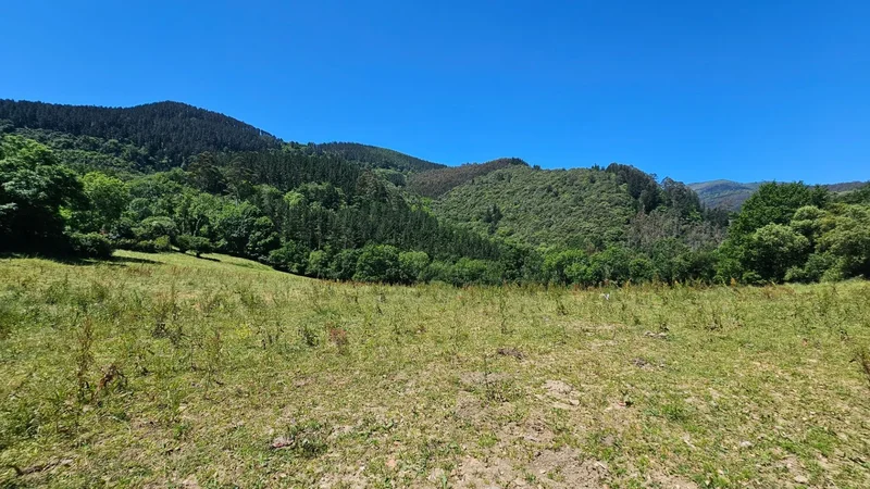 Mercadillo, Sopuerta, VIZCAYA, Sopuerta, Sopuerta, Basque Country, Spain. - Photo 14