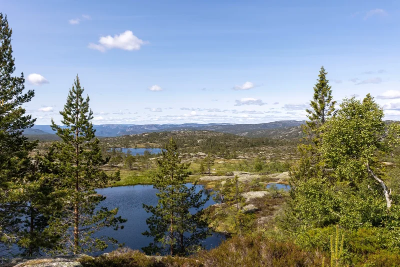 Blekaveien 77, 3750 Drangedal, Norway, Drangedal, Telemark, Norway. - Photo 19