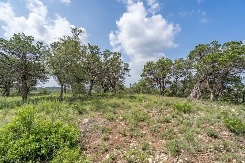 19705 Tyler Trail, Jonestown, TX 78645, Jonestown, Texas, United States. - Photo 14