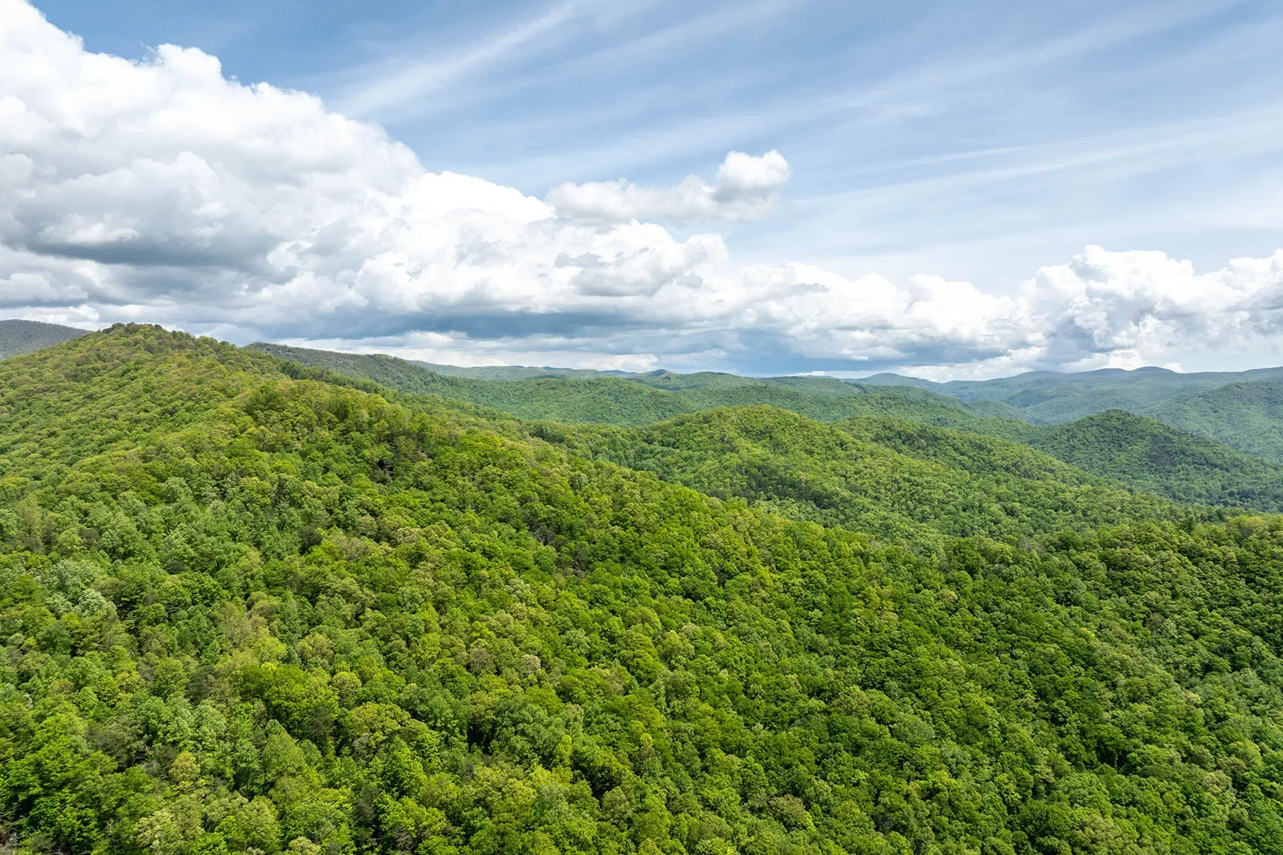 444 Woodring Cemetery Road, Tuckasegee, NC 28783, 28783, North Carolina, United States. - Photo 16