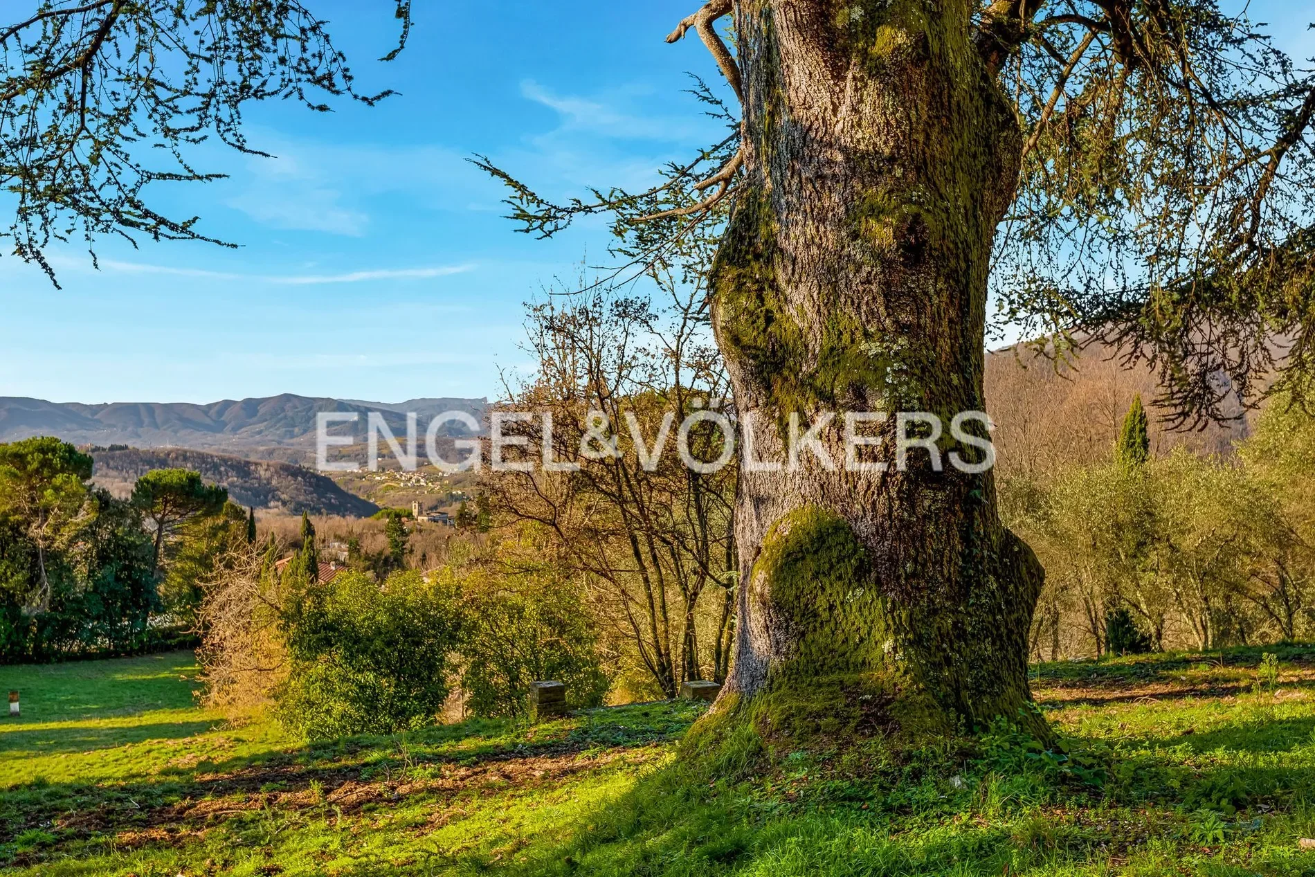 54013 Fivizzano MS, Italy, Fivizzano, Tuscany, Italy. - Photo 22