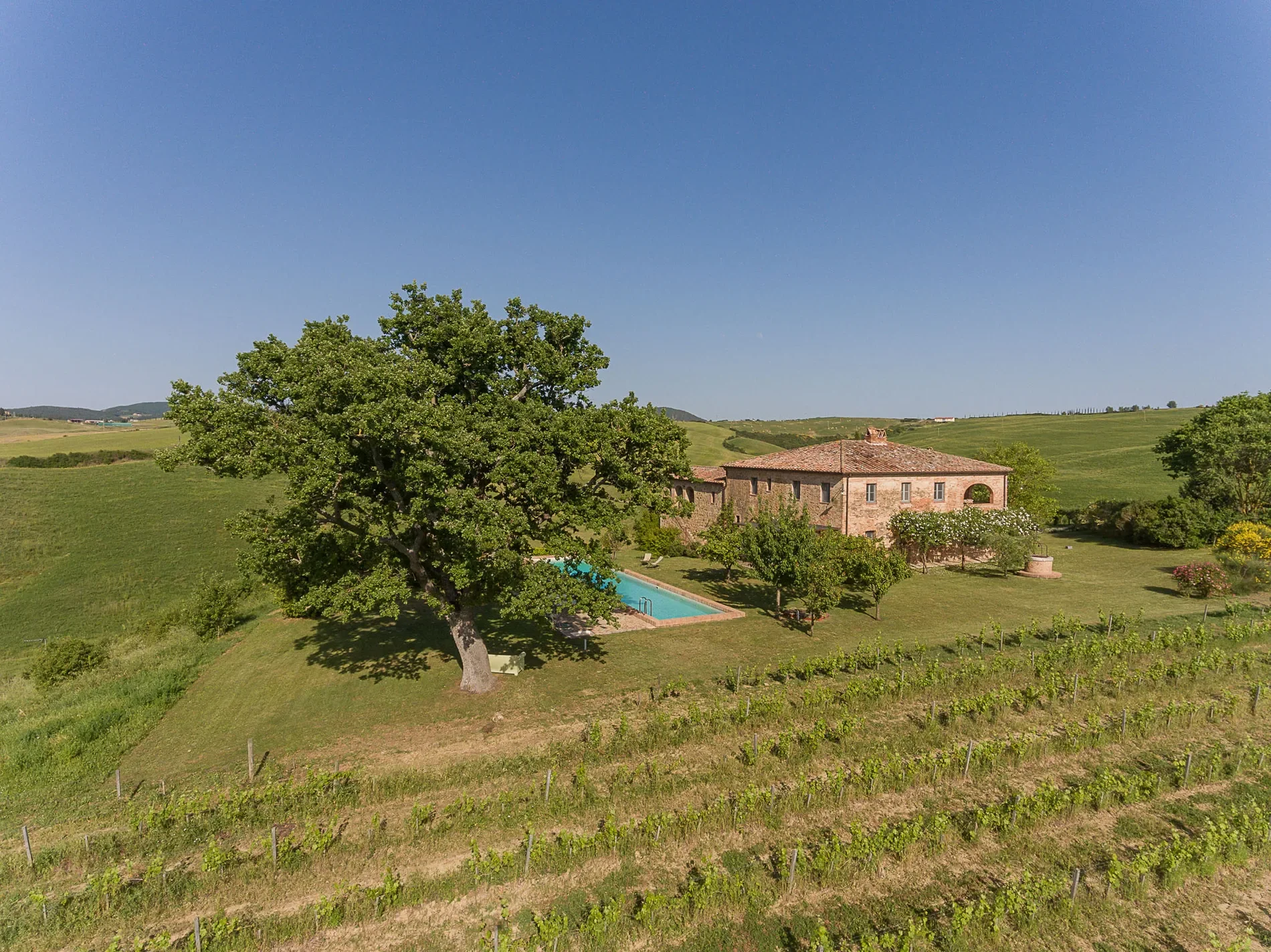 53024 Montalcino, Province of Siena, Italy, Castelnuovo dell’Abate, Tuscany, Italy. - Photo 11