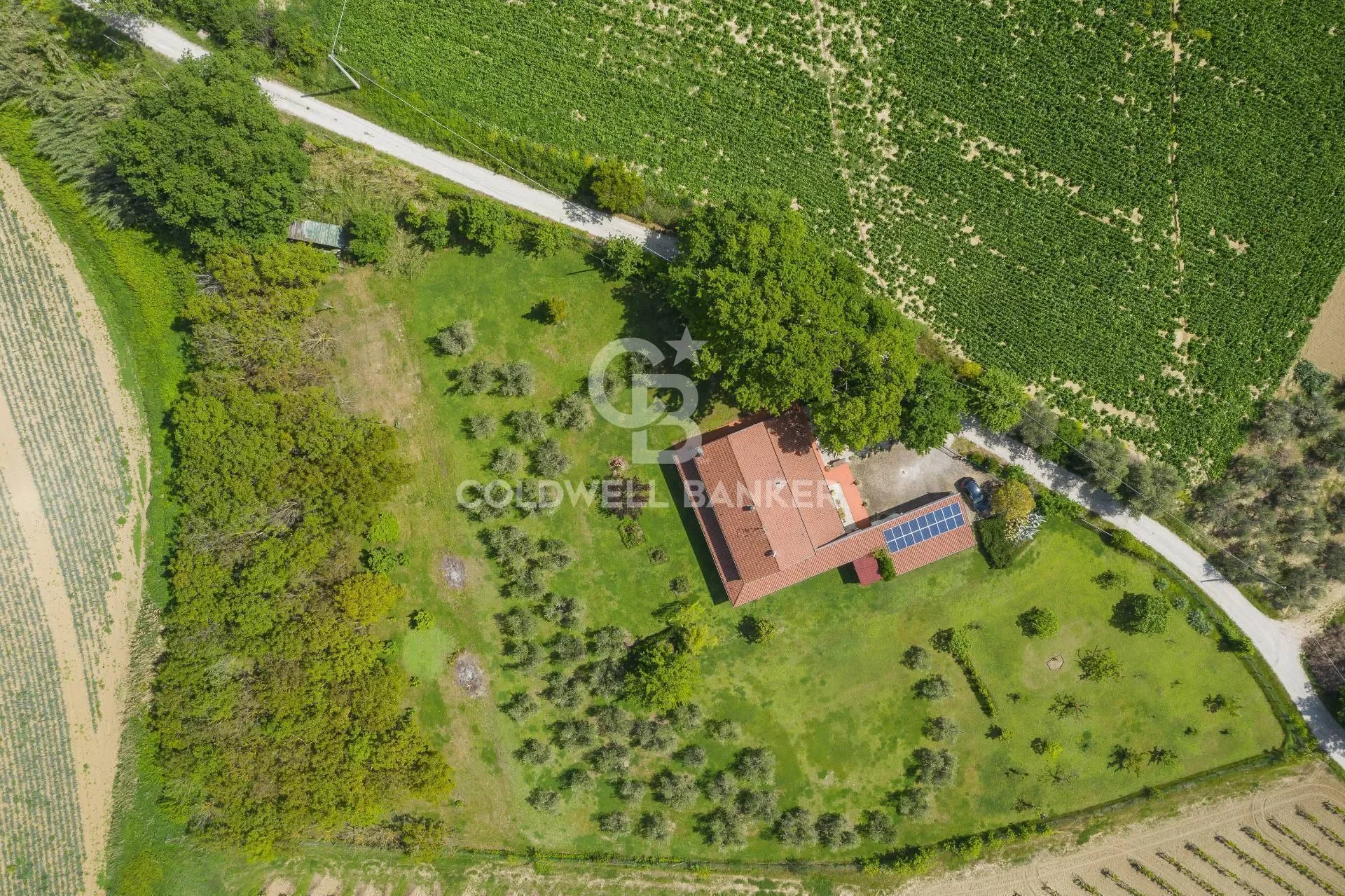 via giardino 26, Castelleale, Emilia-Romagna, Italy. - Photo 27