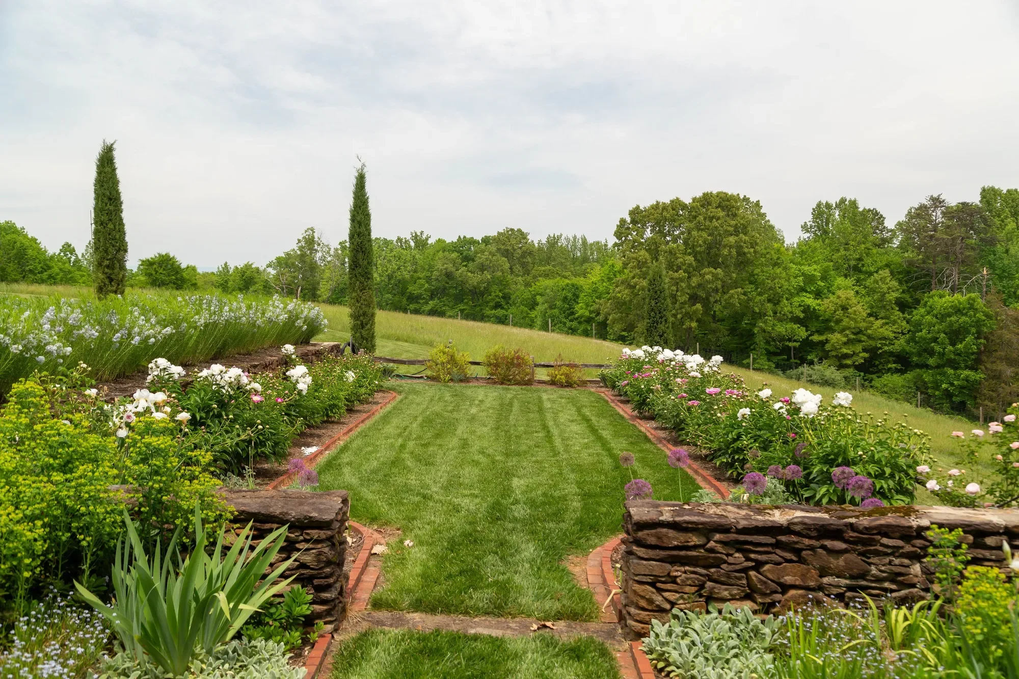 1790 Lambs Road, Charlottesville, VA 22901, Charlottesville, Virginia, United States. - Photo 29