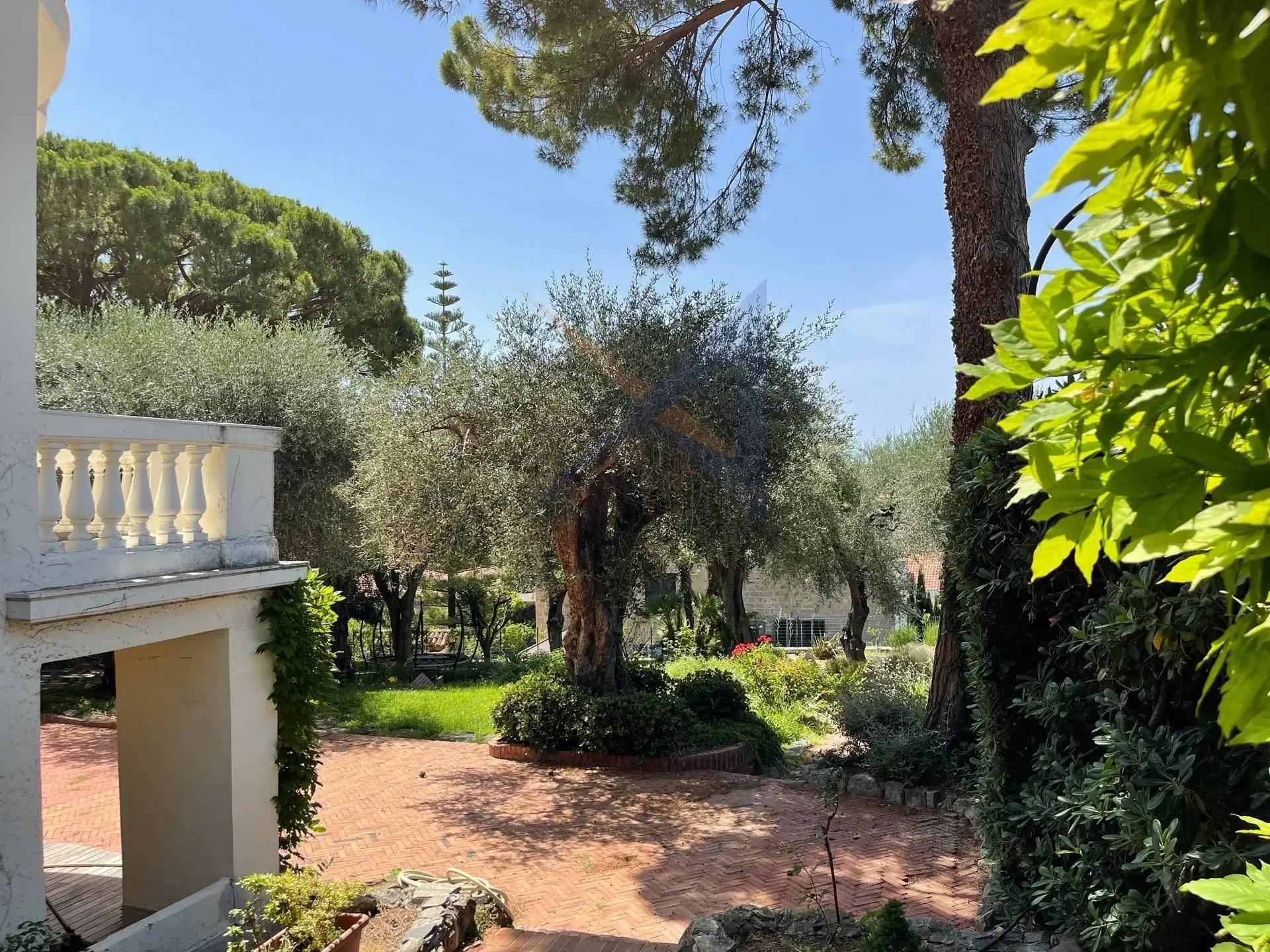 Bordighera, Liguria, Italy. - Photo 9