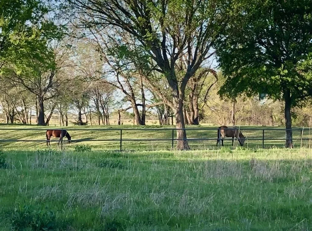 783 County Rd 4420, Whitewright, Texas, United States. - Photo 20