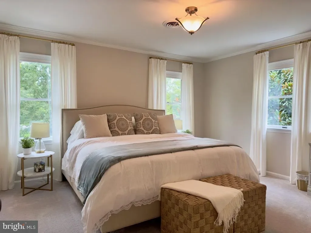 14540 STIRRUP LANE, GALENA, MD 21635, Galena, Maryland, United States. - Photo 41