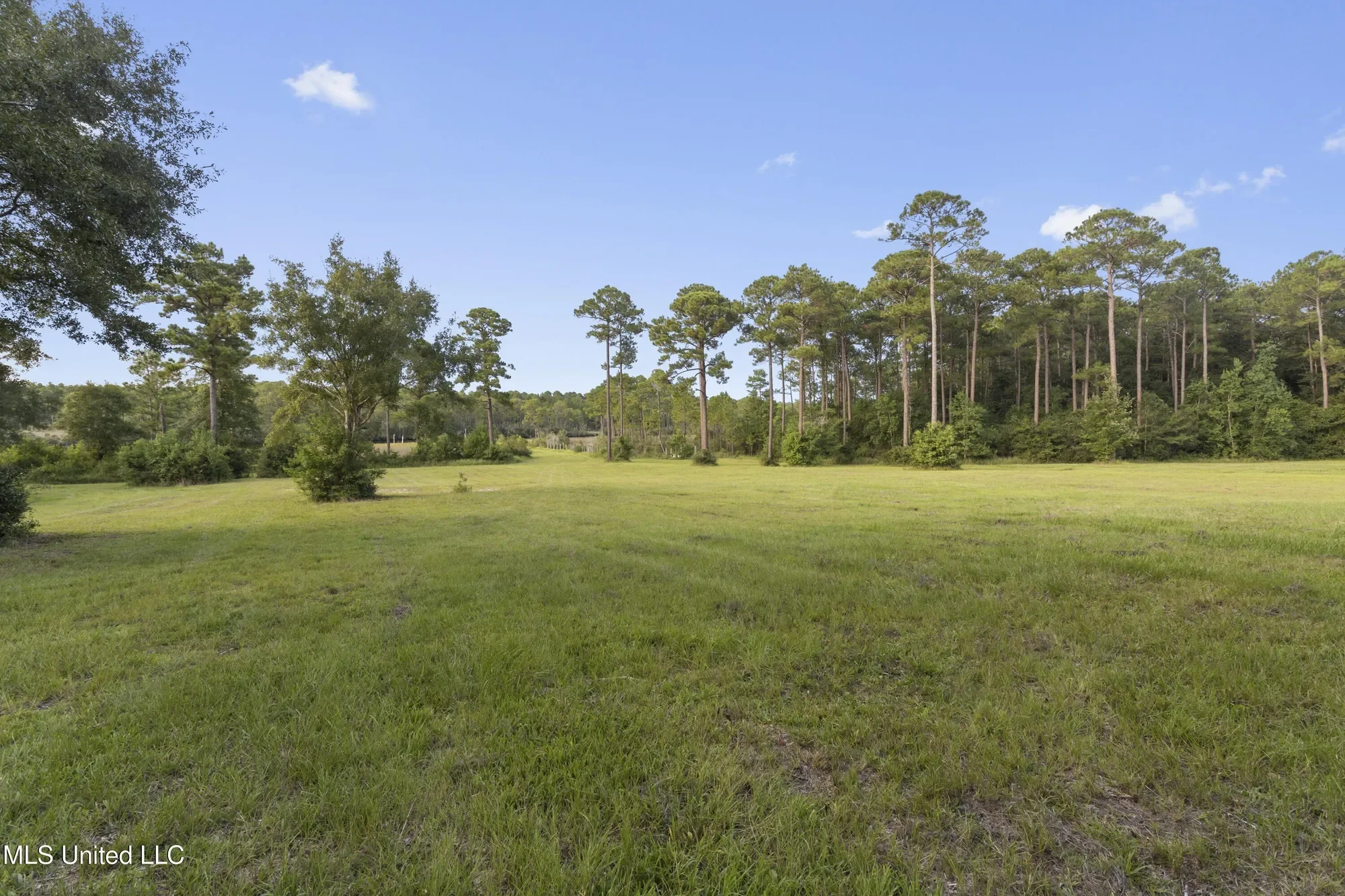 8.13 Acres Dixie Street, Ocean Springs, MS 39564, Ocean Springs, Mississippi, United States. - Photo 15