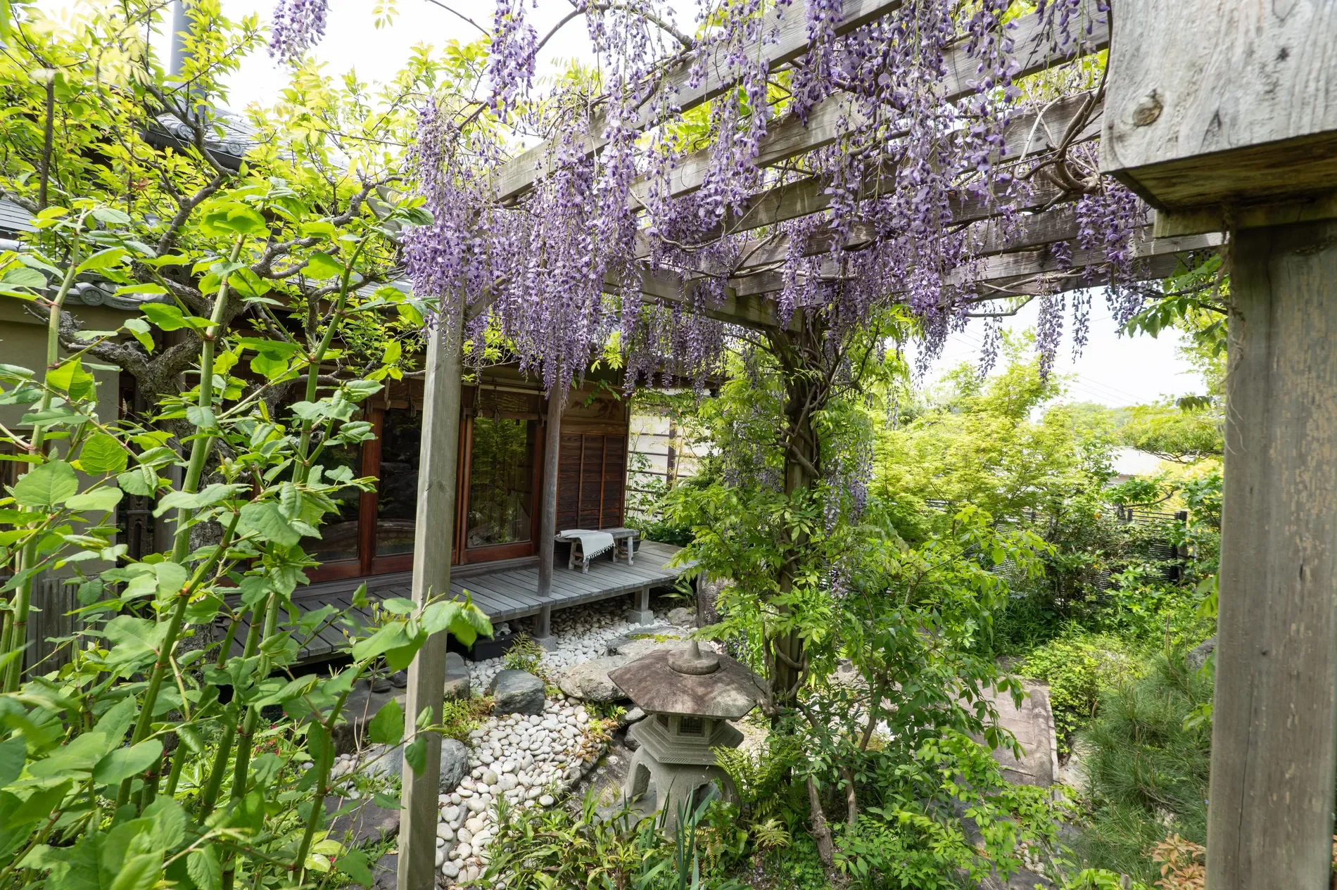 Gallery photo 9