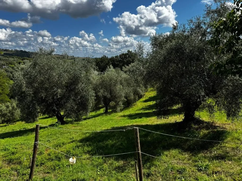 Via delle Fonti, 58014 Manciano, Italia, Manciano, Tuscany, Italy. - Photo 10