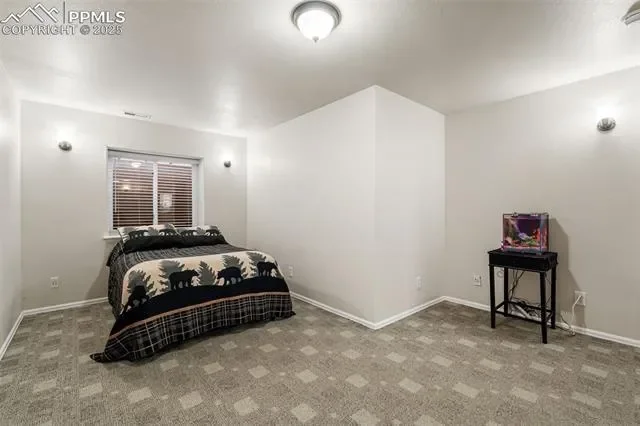 286 Luxury Lane, Colorado Springs, Colorado, United States. - Photo 42