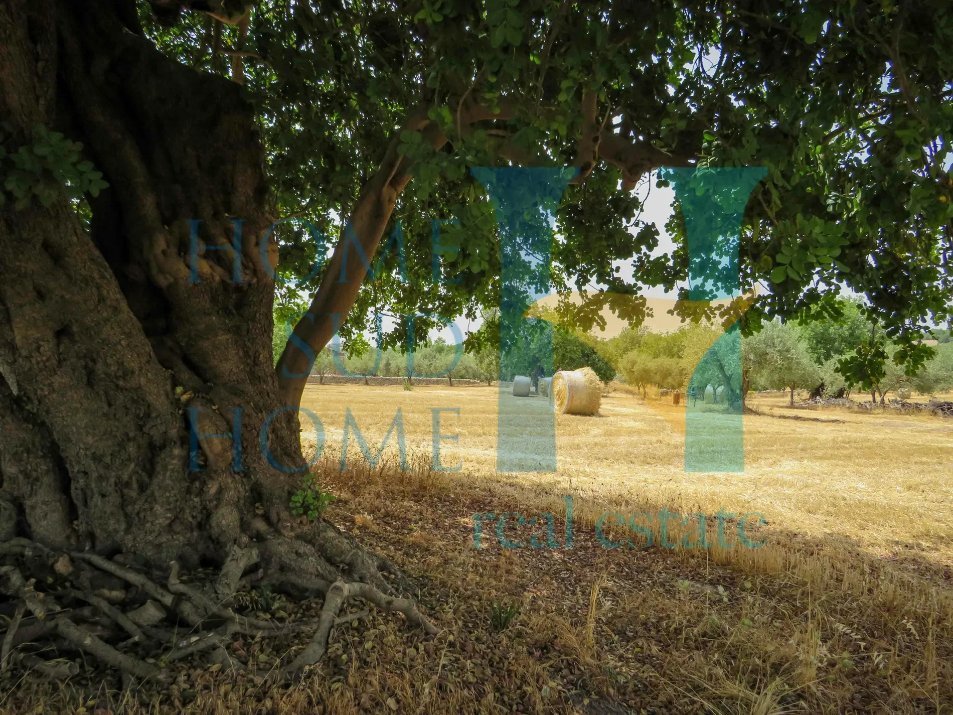 Gallery photo 11