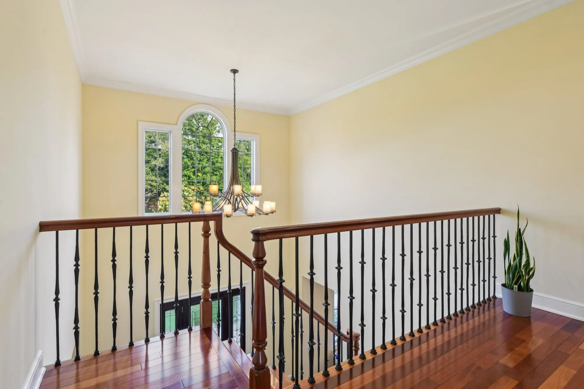 Gallery photo 5