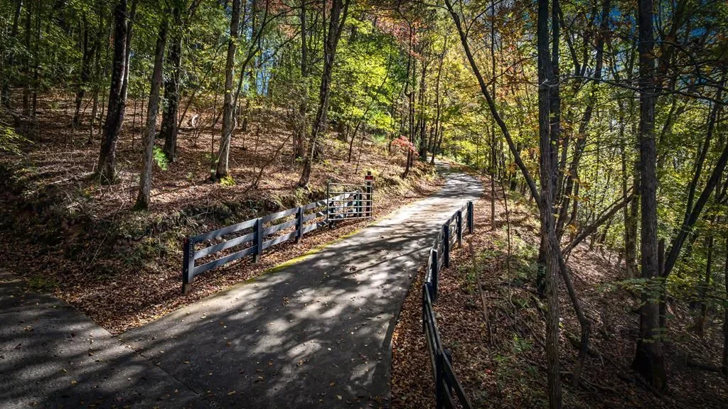 212 Dogpatch Lane, Blue Ridge, Georgia, United States. - Photo 27