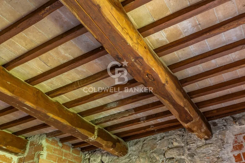 Località Borgo di Torreluca, Umbria, Italy. - Photo 19