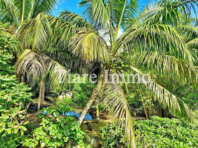 Taravao, Taravao, Windward Islands, French Polynesia. - Photo 9