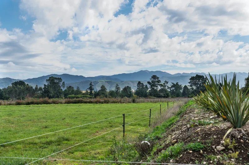 3 Nicholson Road Clareville, Wairarapa, WGN 5713, Clareville, Wellington, New Zealand. - Photo 19