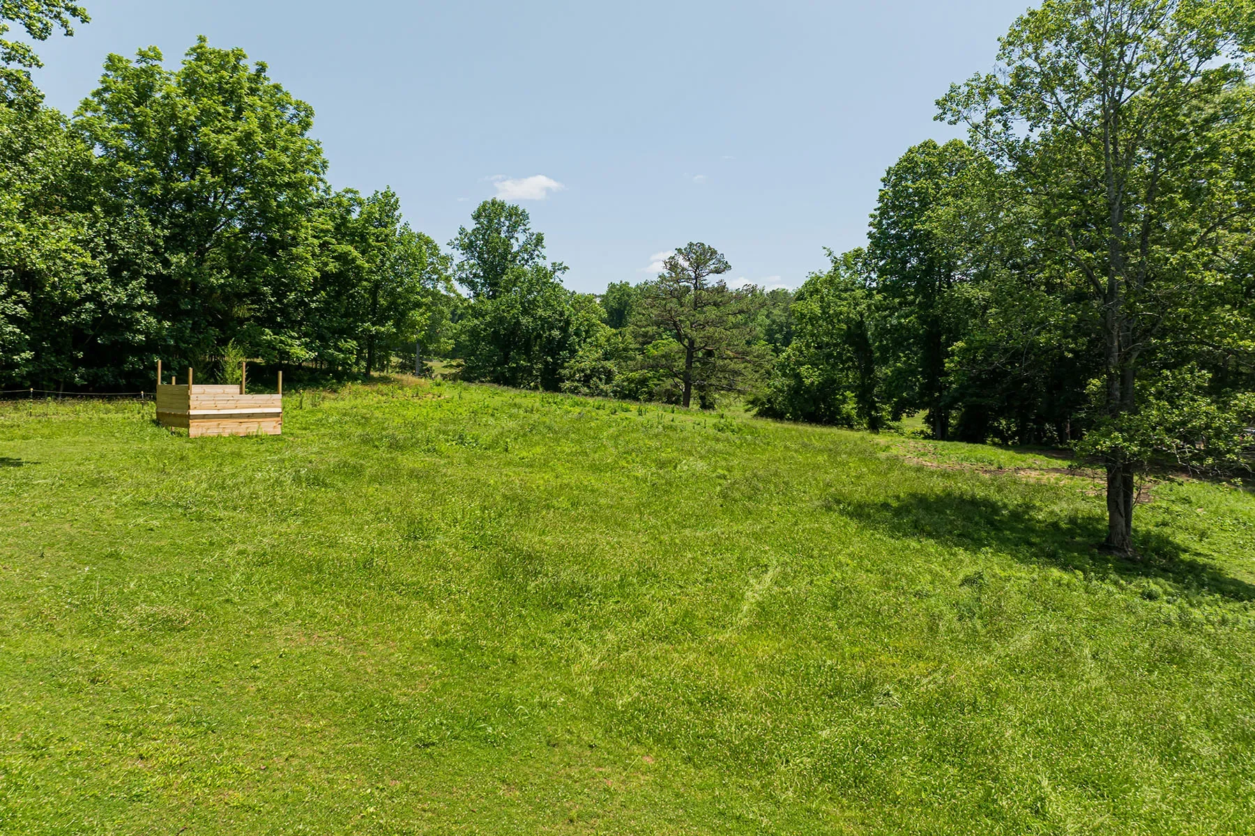 Gallery photo 11
