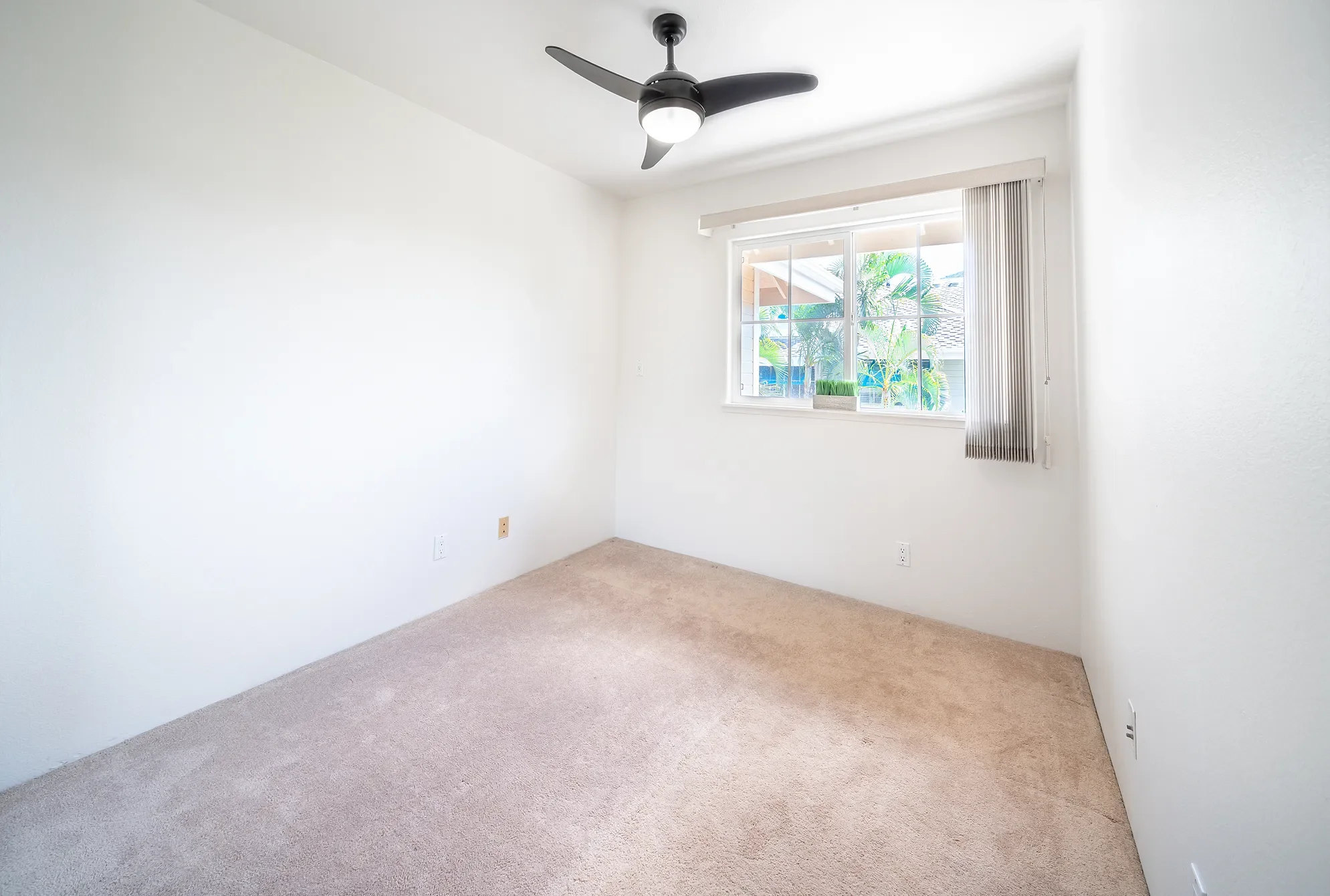 Gallery photo 10