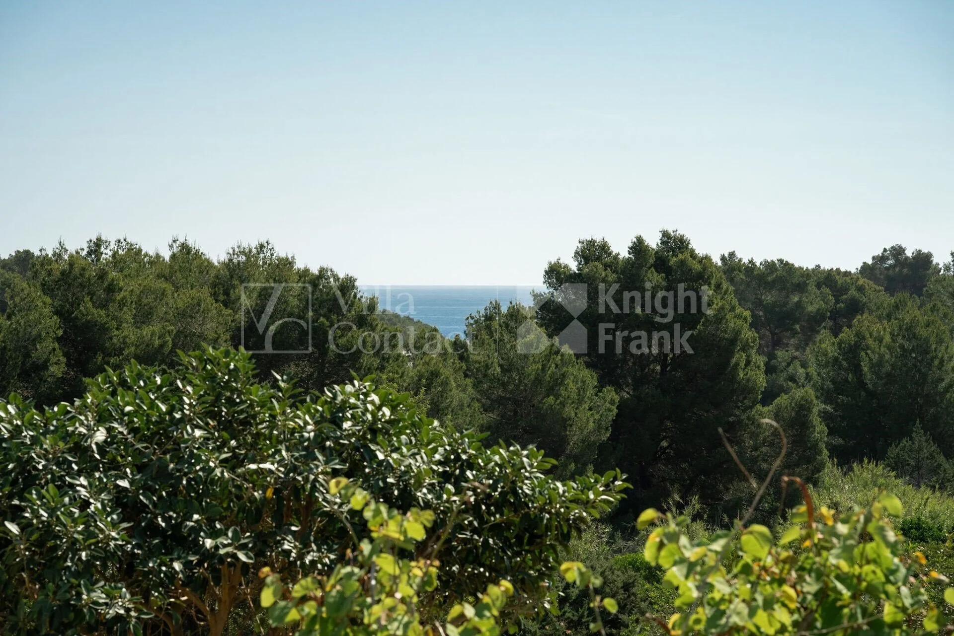 Gallery photo 7