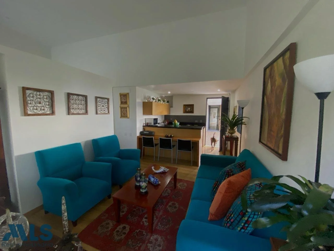 Gallery photo 11