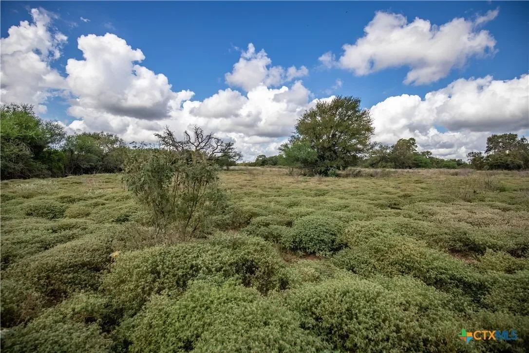 000 Fm 766, Cuero, TX 77954, Cuero, Texas, United States. - Photo 20