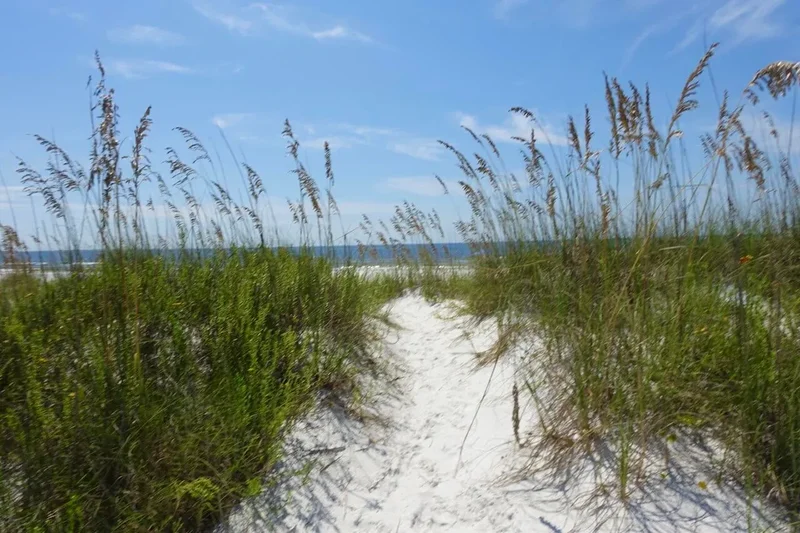 Port St. Joe, Florida, United States. - Photo 110