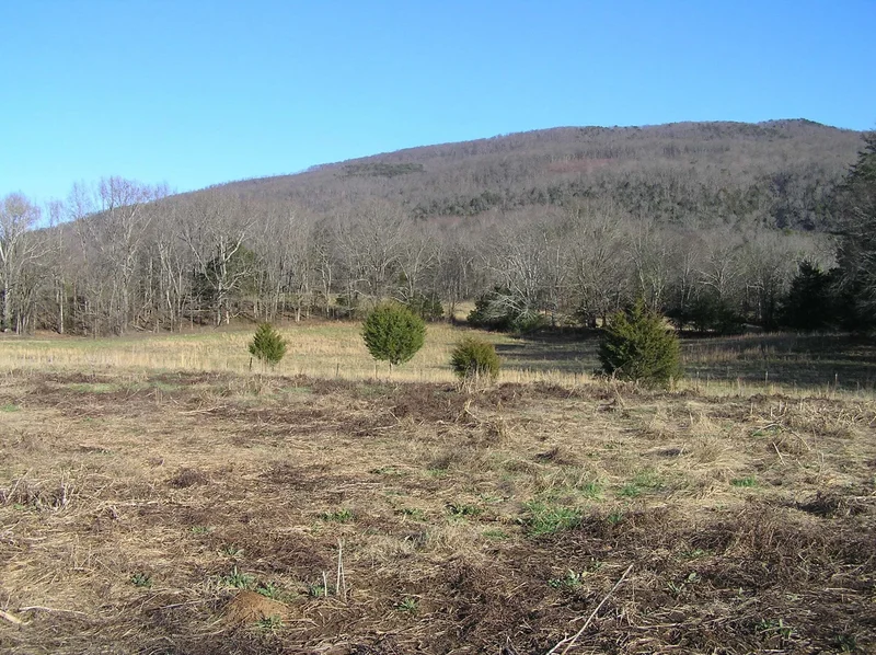 4114 Lower East Valley Rd, Dunlap, TN 37327, Dunlap, Tennessee, United States. - Photo 11
