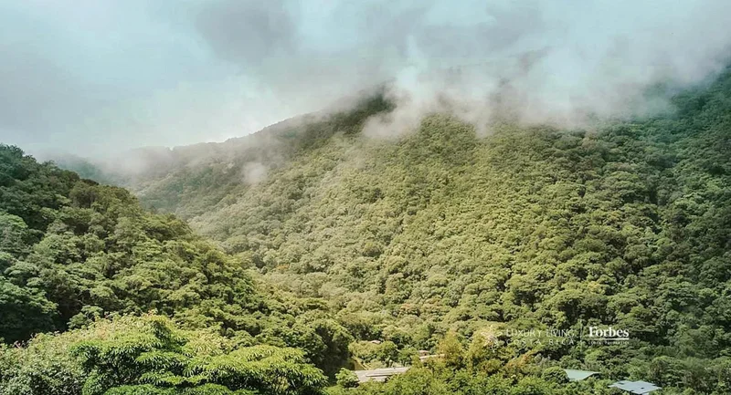 Palmichal, San José, Acosta, Costa Rica, San José Province, Costa Rica. - Photo 12