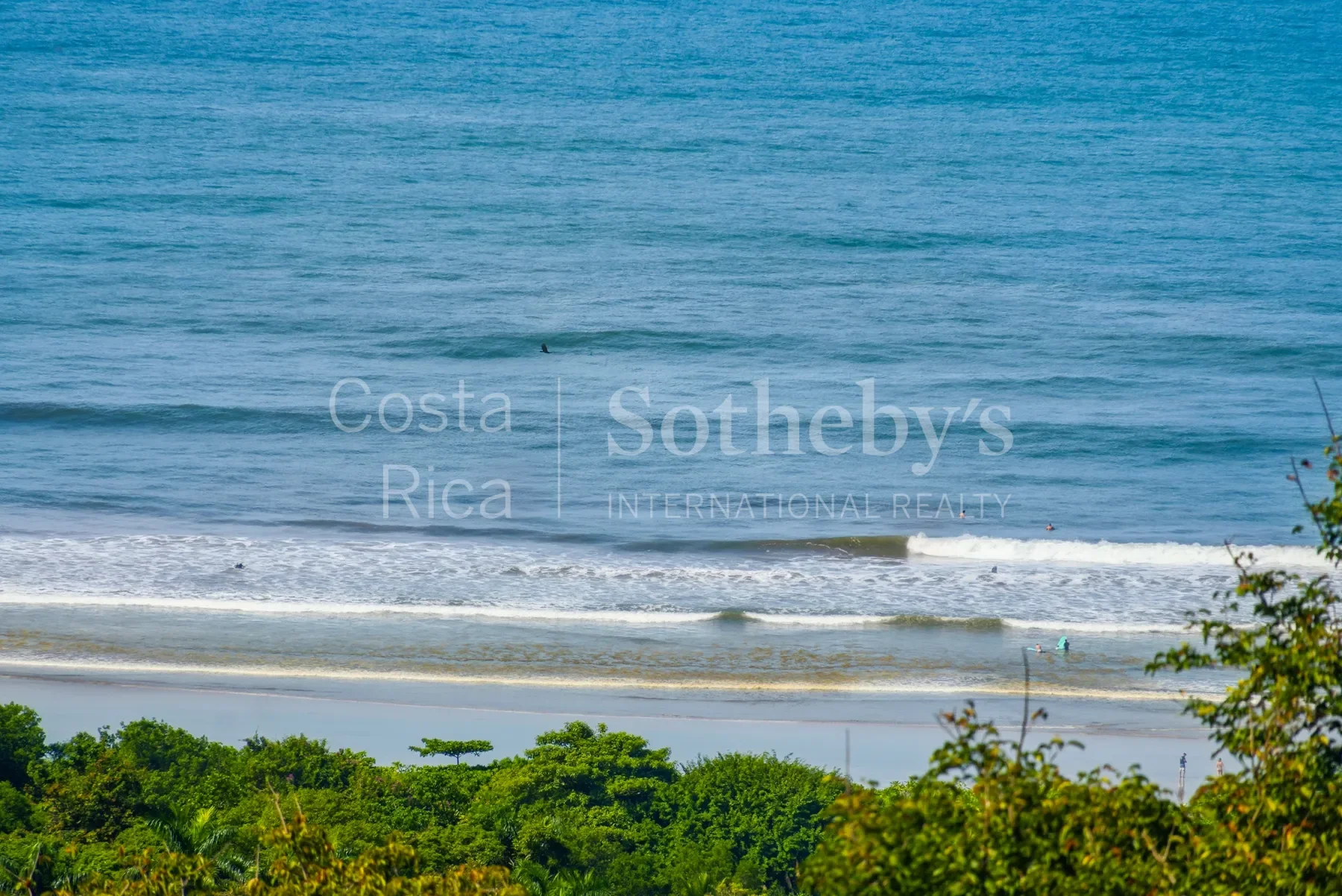 Gallery photo 4