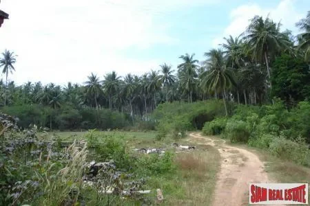 Krabi,, Pak Nam, Krabi, Thailand. - Photo 3