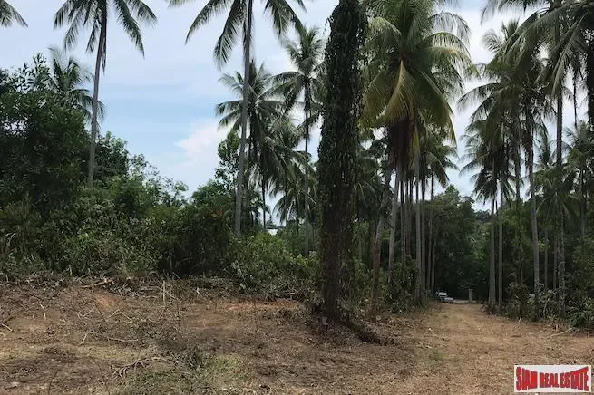 Phang Nga,, Thai Mueang, Phang-nga, Thailand. - Photo 2