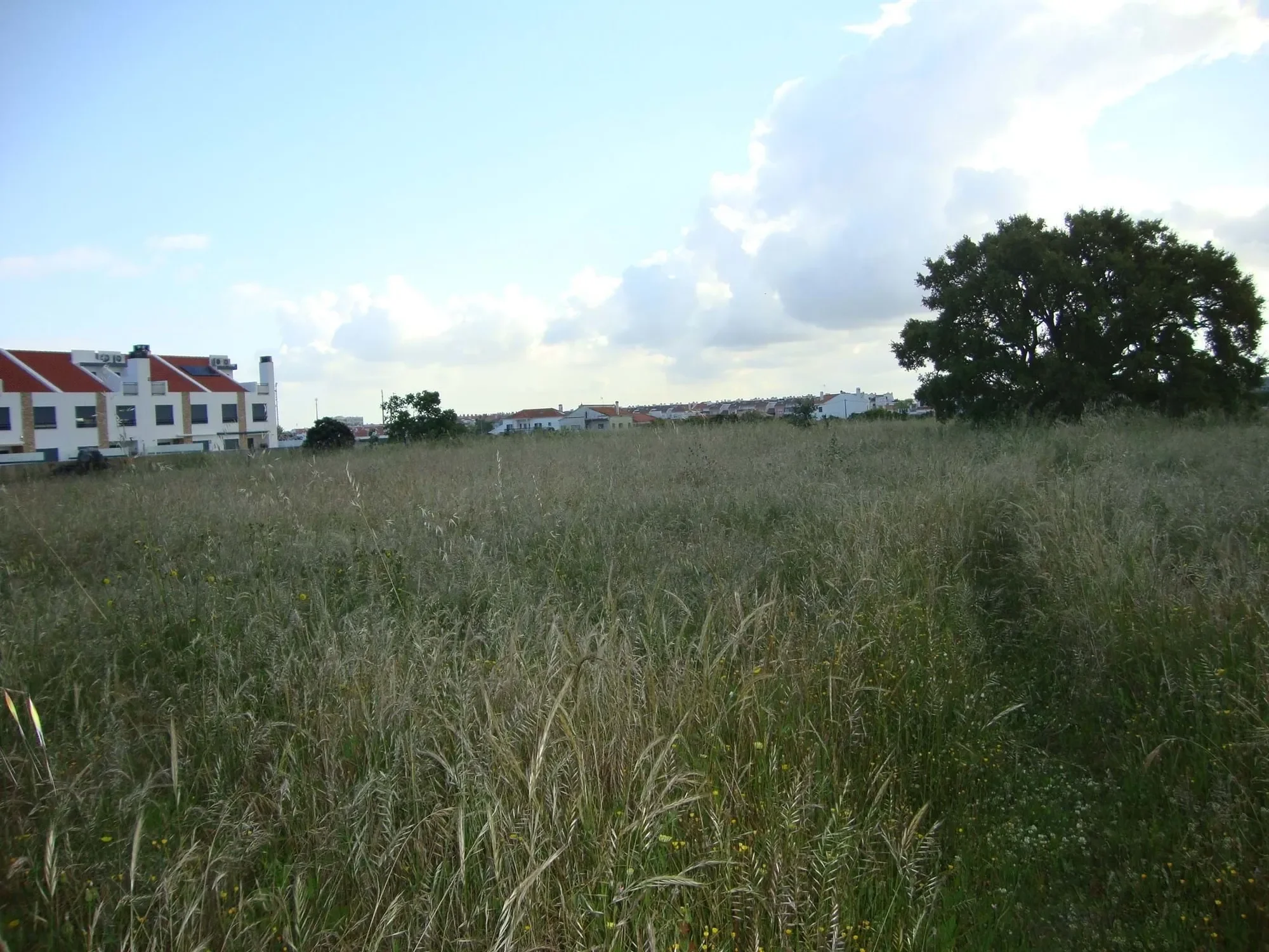 Setúbal, Alcochete, Setubal, Portugal. - Photo 9