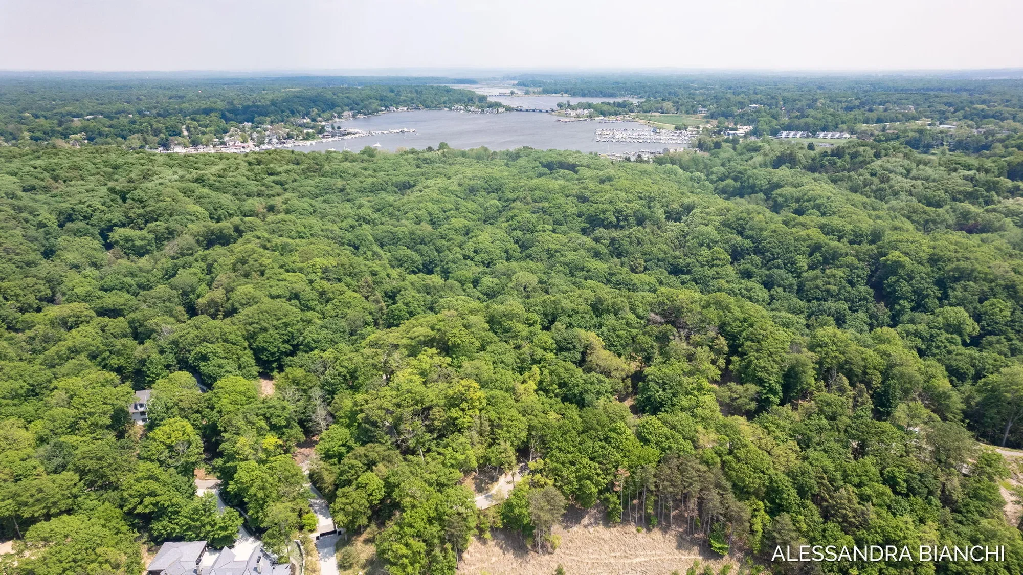 225 Dunegrass Ridge Drive, Saugatuck, MI 49453, Fennville, Michigan, United States. - Photo 4