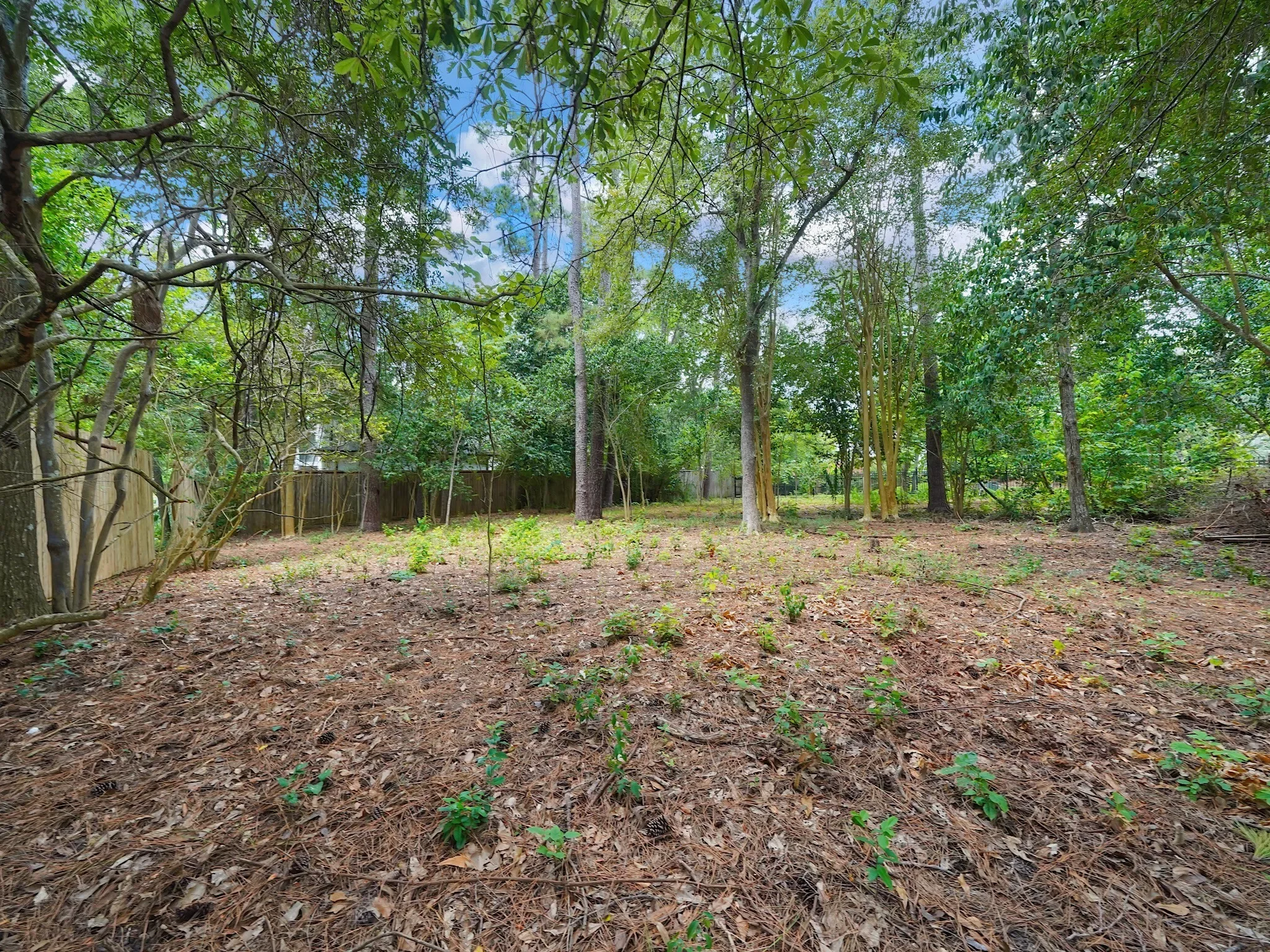 7 Carlton Park Court, Houston, TX 77024, Houston, Texas, United States. - Photo 3