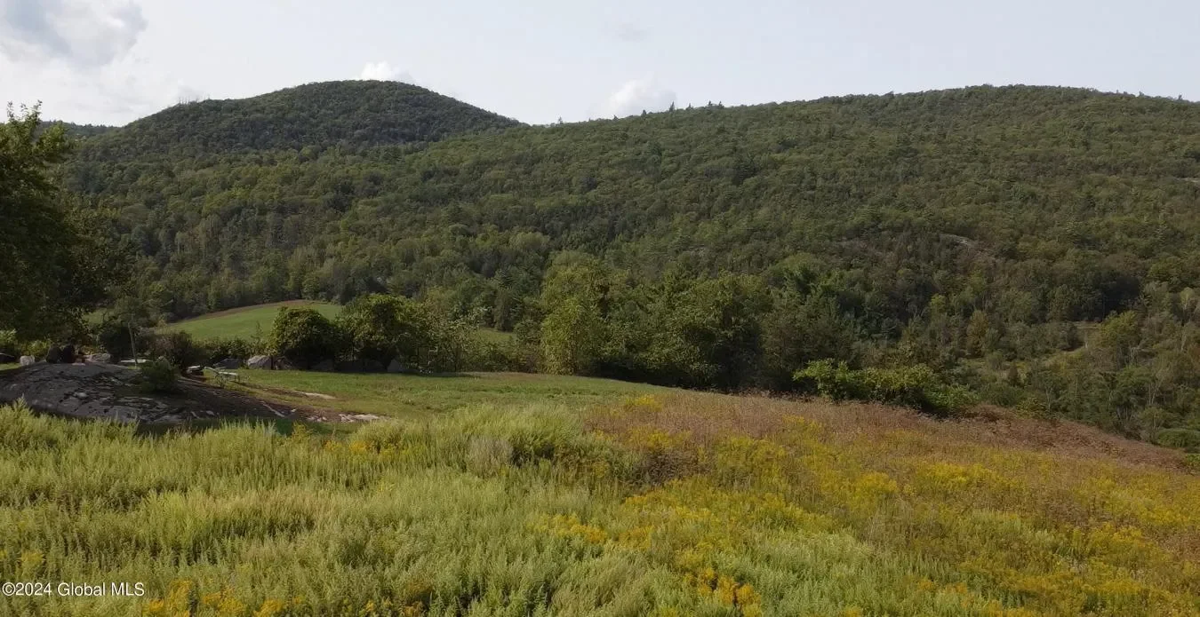729 State Route 9N, Ticonderoga, New York, United States. - Photo 12