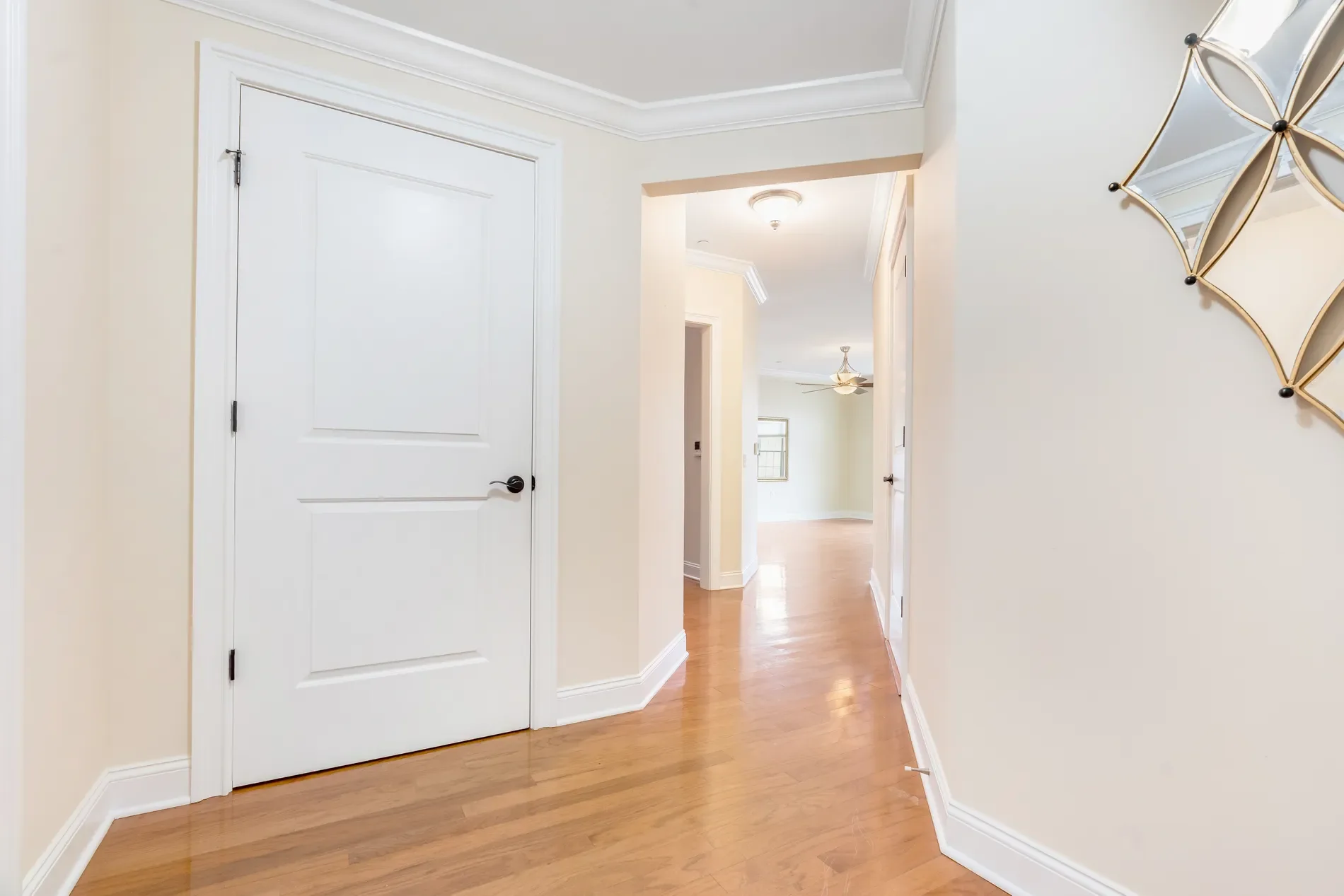 Gallery photo 6