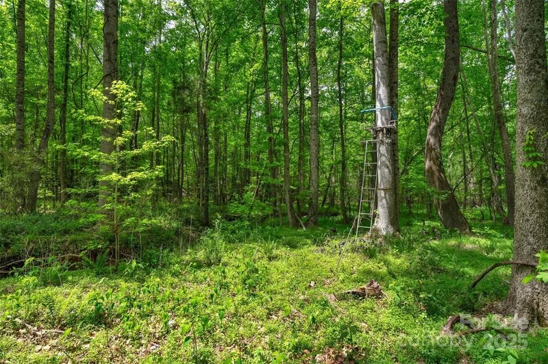 0000 Green Road, Lancaster, SC 29720, Lancaster, South Carolina, United States. - Photo 24
